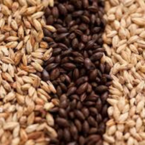 MALTS